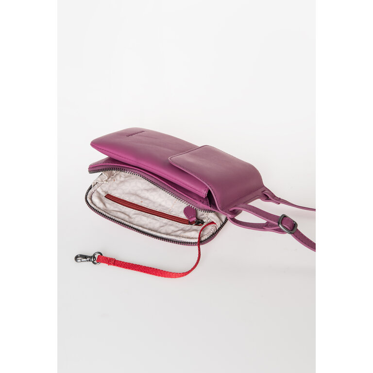 Aunts & Uncles Aunts & Uncles Jamie's Orchard Tulip Red Violet