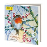 Amnesty International Kerstkaarten Robins in the Winter
