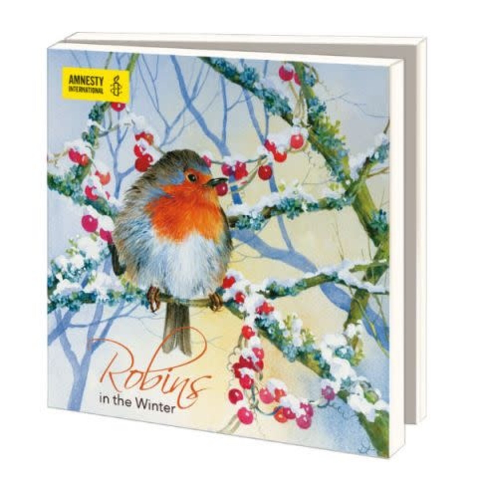 Amnesty International Kerstkaarten Robins in the Winter
