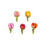 Sjaal met Verhaal Broche Tulp diverse kleuren