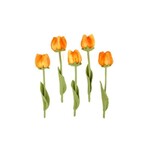 Sjaal met Verhaal Bloem: Tulp Olivia - geel oranje