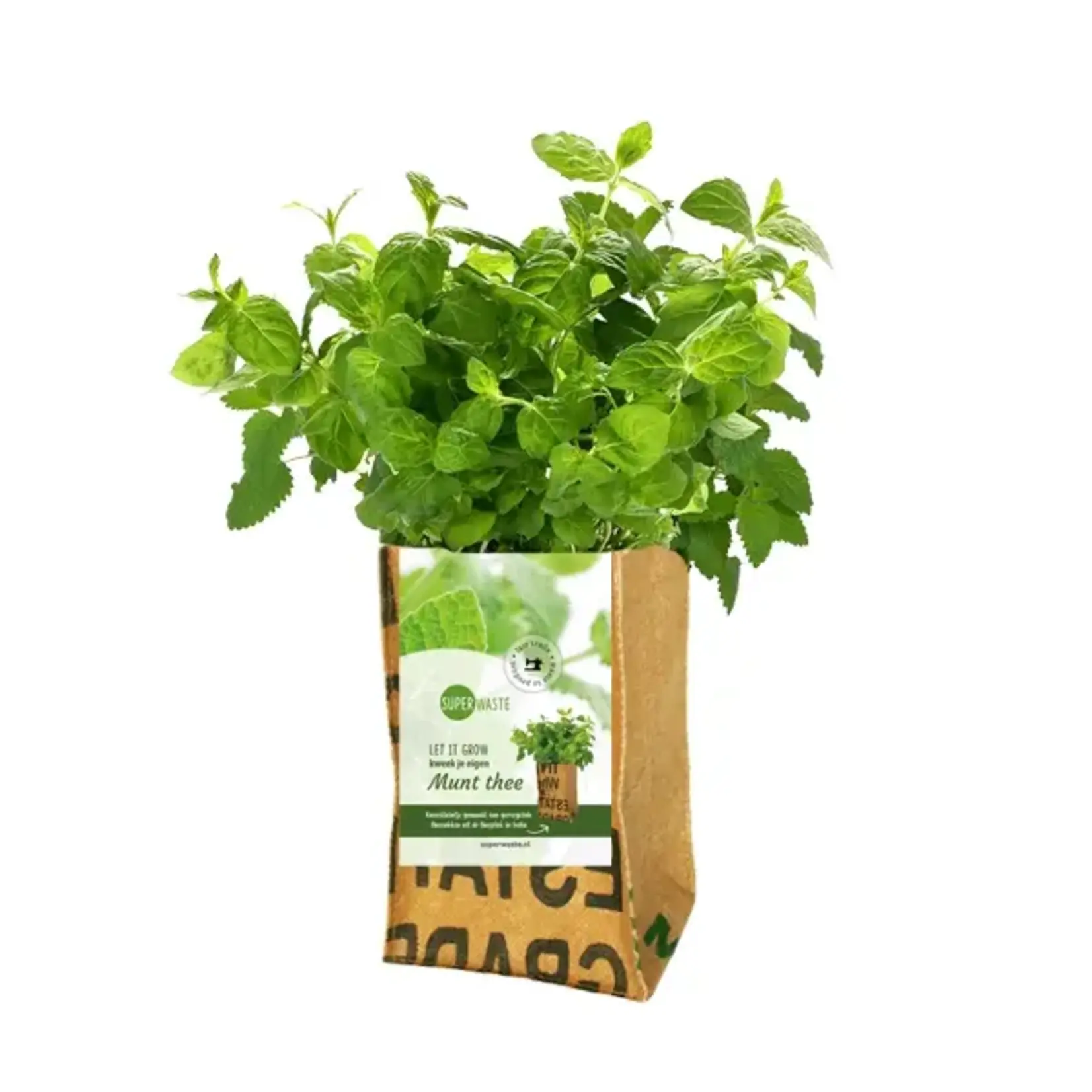 SuperWaste Let it Grow Kweektuintje Munt