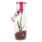 Pineut Watertwist cranberry kers rozemarijn mix