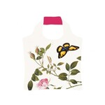Bekking & Blitz Shopper Roses in bud and bloom, The Fitzwilliam Museum