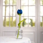 Sjaal met Verhaal Bloem Tulp Betty - blauw