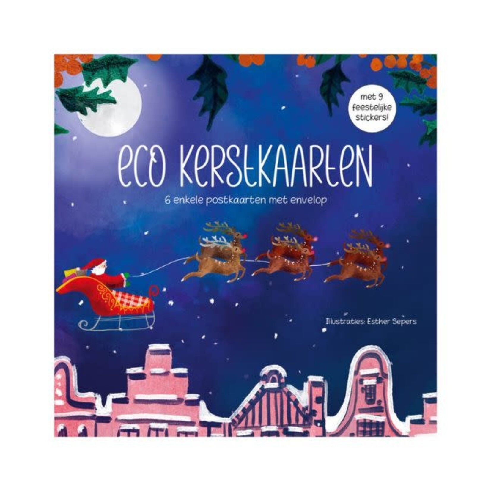 Zintenz Eco Kerstkaarten Set 22 Esther Sepers