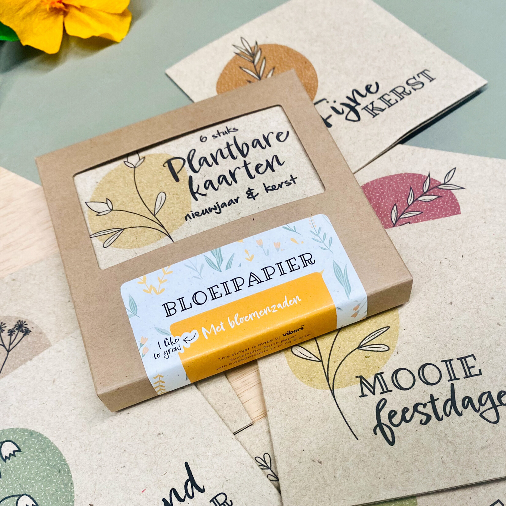 BloomyourMessage Vierkante bloeikaarten in doosje set van 6