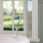 Sjaal met Verhaal Druifje Blauw