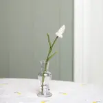 Sjaal met Verhaal Druifje Wit