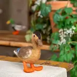 Sjaal met Verhaal Decoratie  Wilde Eend