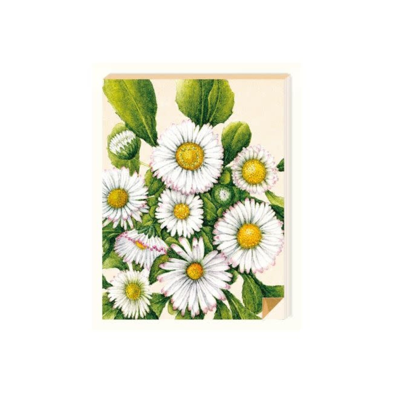 Zintenz Notitieblokje 9x11 cm Madeliefjes