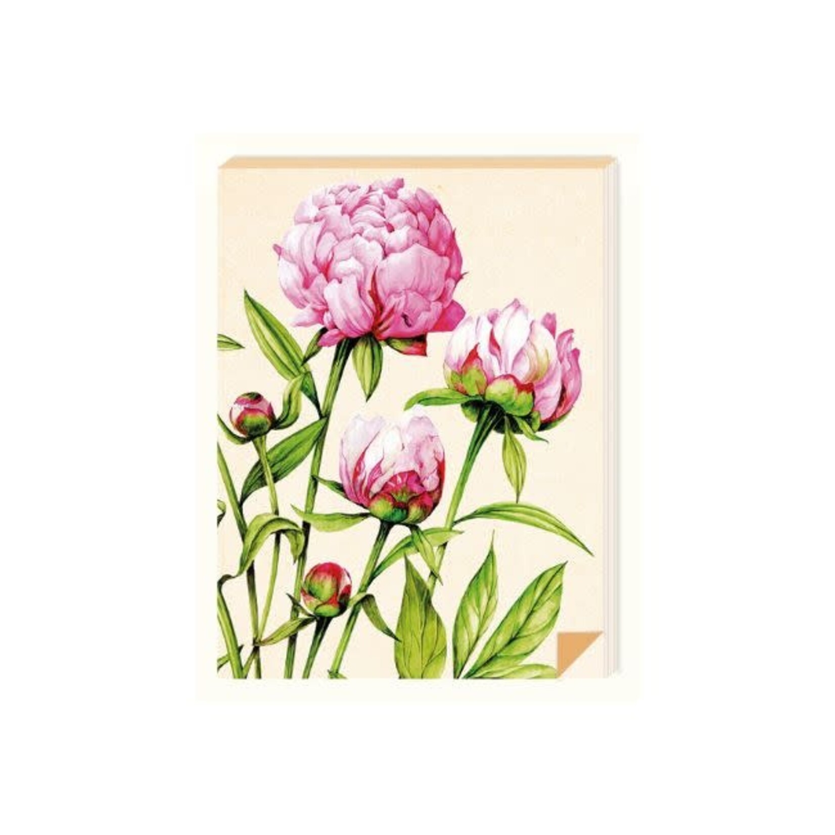 Zintenz Notitieblokje 9x11 cm Pioenroos
