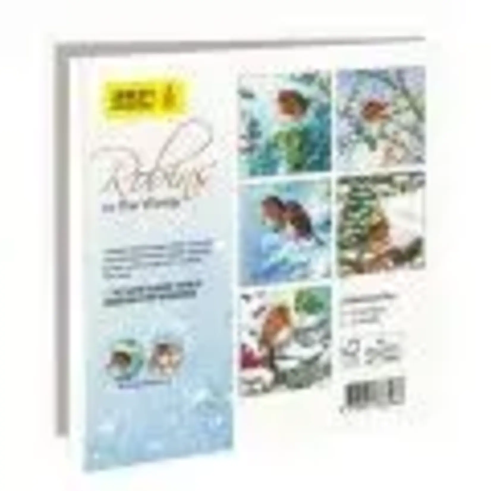 Amnesty International Kerstkaarten Robins in the Winter