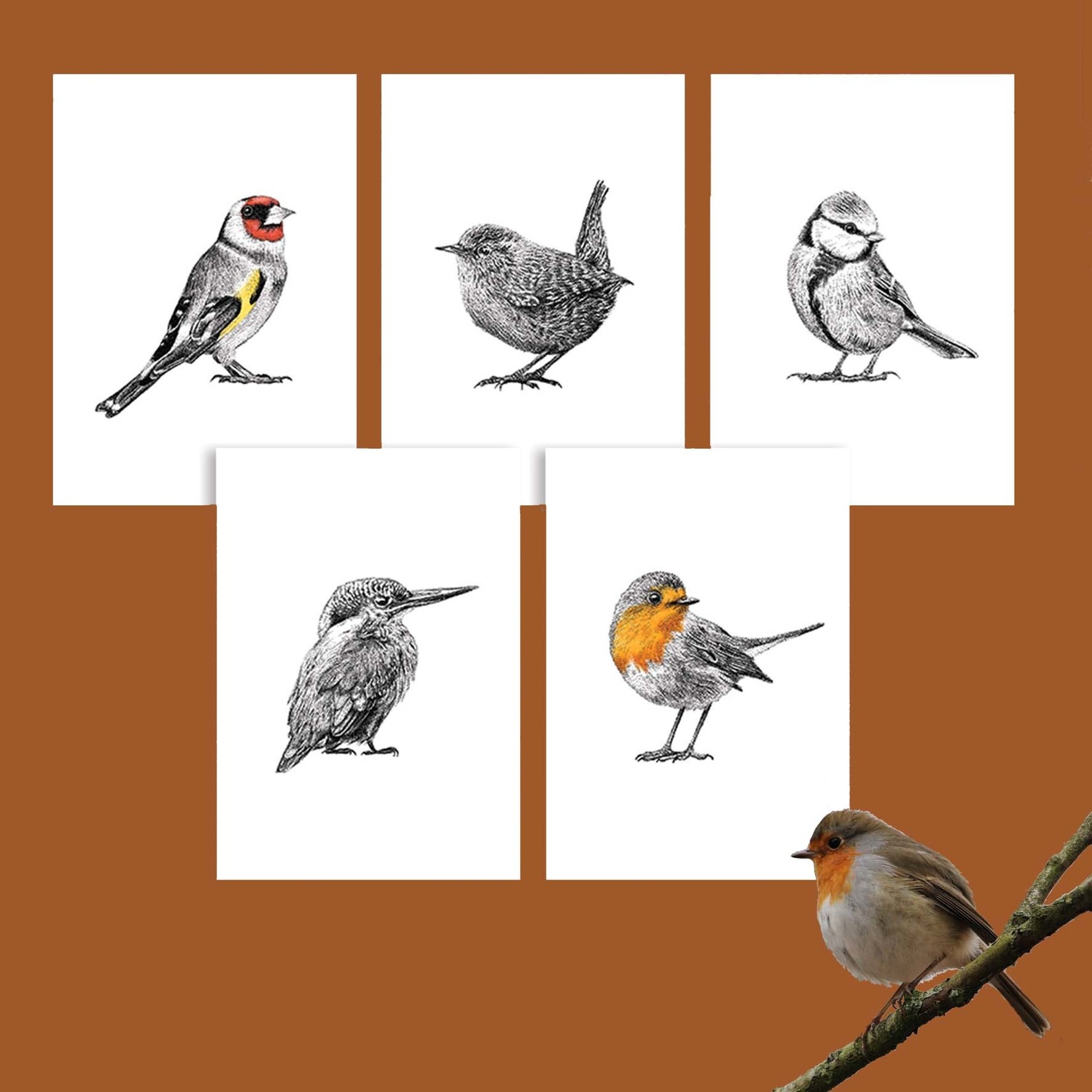 Fine Forest Vogel Prints A5
