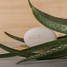HappySoaps Aloë Vera Shaving Bar 80g HappySoaps Aloë Vera Shaving Bar 80g