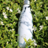 SayWhatBottles White Stone SayWhatBottles White Stone