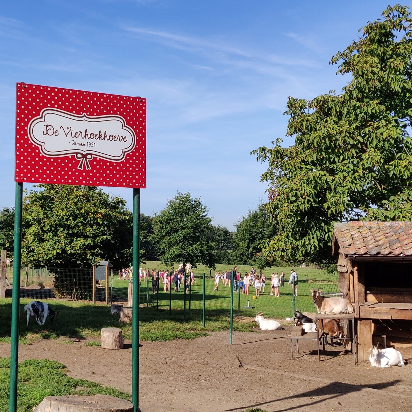 De kinderboerderij op De Vierhoekhoeve
