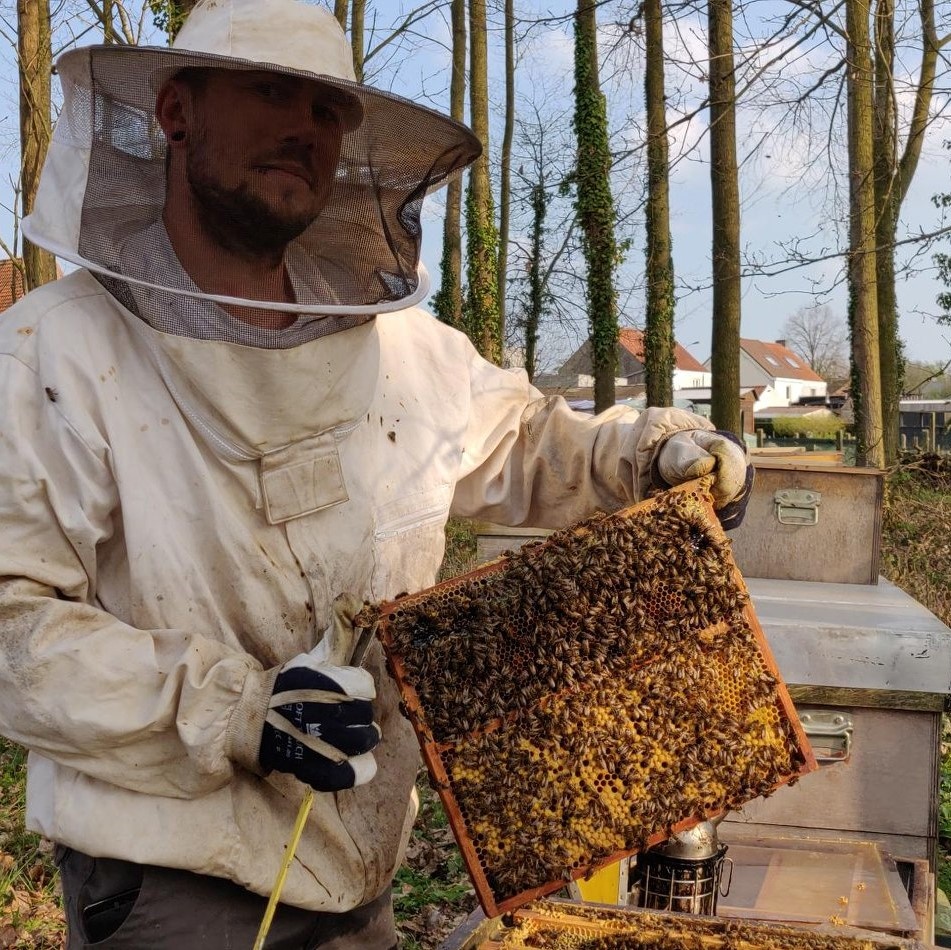 De imker aan het werk met de boerderijbijen