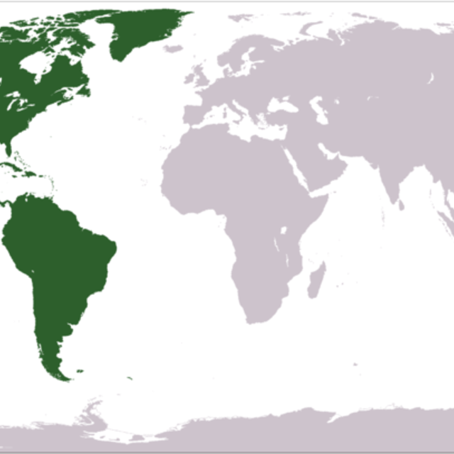 Noord-zuid Amerikaans buffet