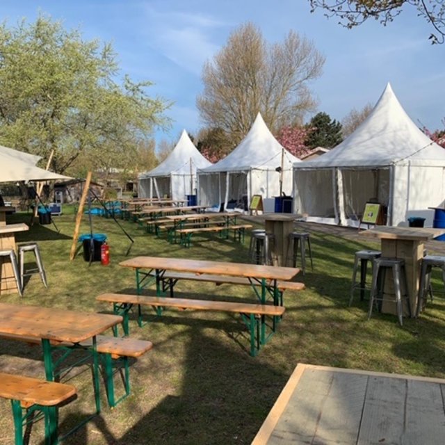 Pagodetent 6x6m - Wit