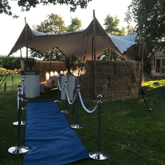 Afzetpaaltje - Chroom bol knop