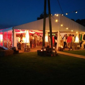 Frametent 8x25m - Wit