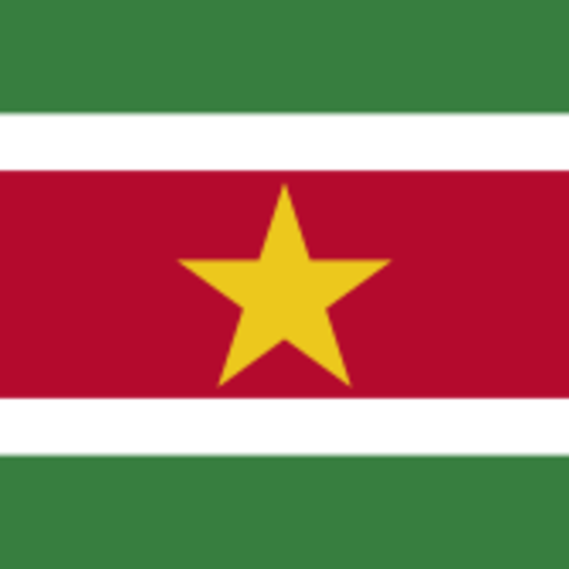 Streetfoodtruck -  Surinaamse streetfoodmenu