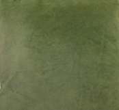 Sierkussen 45x45cm fluweel - Groen