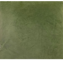 Sierkussen 45x45cm fluweel - Groen