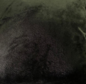 Sierkussen 45x45cm fluweel - Zwart Sierkussen 45x45cm fluweel - Zwart