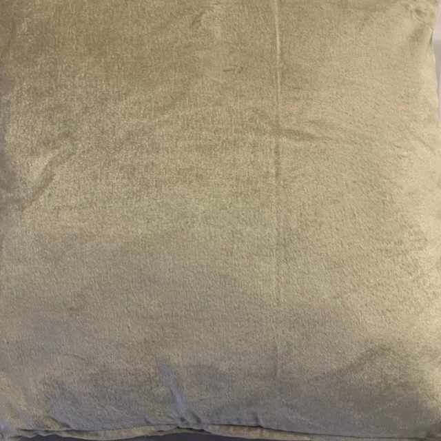 Sierkussen 45x45cm fluweel - Zilver Sierkussen 45x45cm fluweel - Zilver