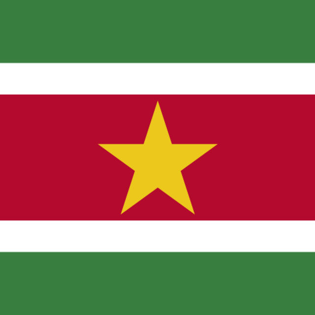 Big Benz foodtruck - Surinaamse streetfoodmenu Big Benz foodtruck - Surinaamse streetfoodmenu