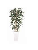 Kunstboom ficus - 180cm