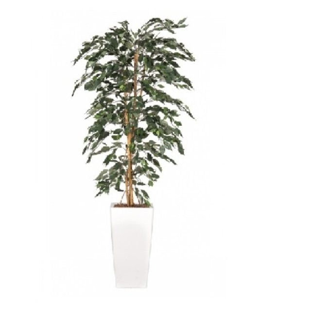 Kunstboom ficus Kunstboom ficus