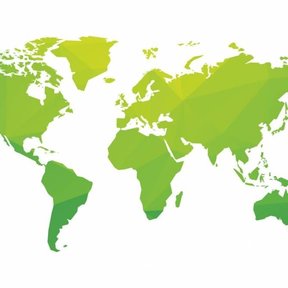 Food Market foodtruck - Wereldse vega(n) streetfoodmenu