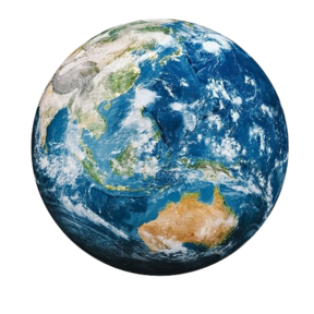 Food Market foodtruck - Duurzaam Aziatisch streetfoodmenu