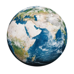 Food Market foodtruck - Duurzaam Indiaas streetfoodmenu