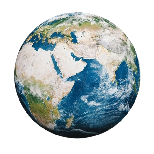 Food Market foodtruck - Duurzaam Indiaas streetfoodmenu