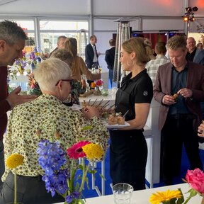 Borrelarrangement - Classic