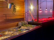 Saladebar - Mexicaans arrangement Saladebar - Mexicaans arrangement