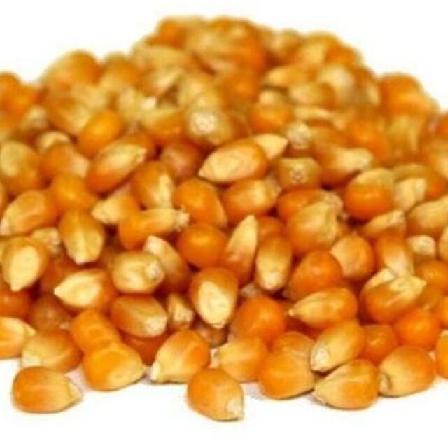 Popcornbenodigdheden