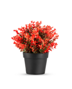 Kunstplant buxus rood - 19cm