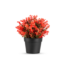 Kunstplant buxus rood - 19cm