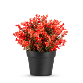 Kunstplant buxus rood - 19cm