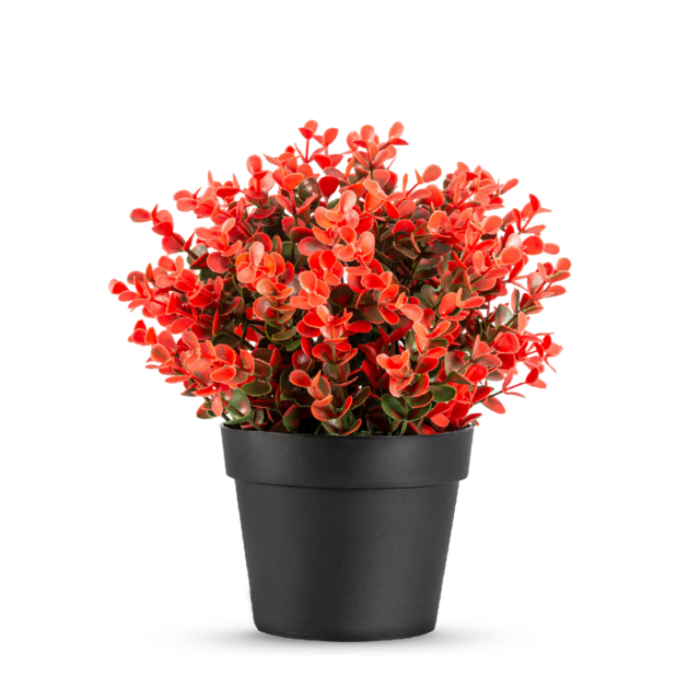 Kunstplant buxus rood - 19cm