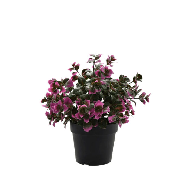 Kunstplant eucalyptus paars - 22cm