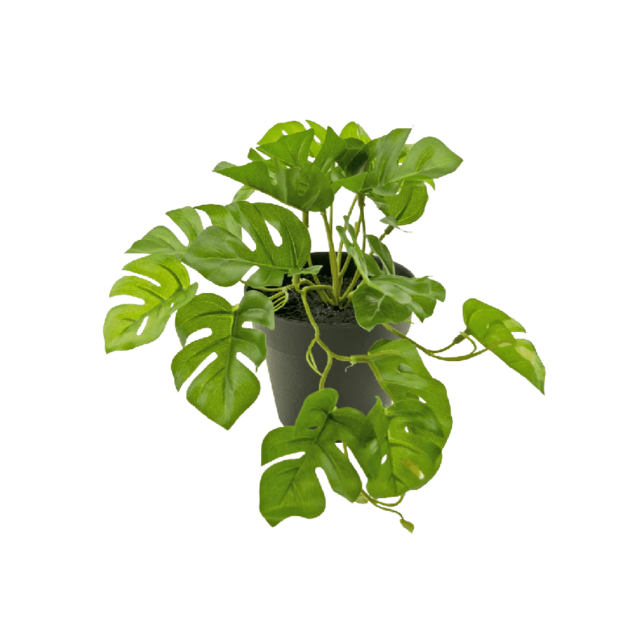 Kunstplant monstera - 18cm