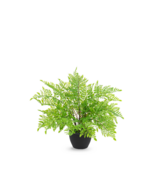 Kunstplant varen - 35cm