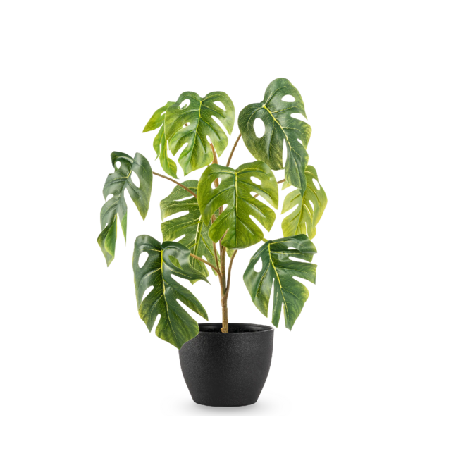 Kunstplant monstera - 40cm
