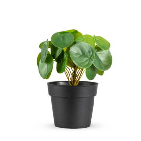 Kunstplant pannenkoekplant - 20cm